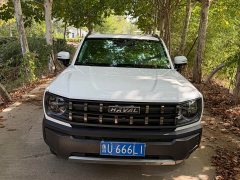 Haval Cool Dog 1.5T DCT AWD Trendy Wilderness Edition - ფოტო 1