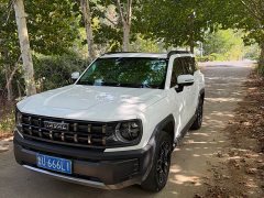 Haval Cool Dog 1.5T DCT AWD Trendy Wilderness Edition - ფოტო 2
