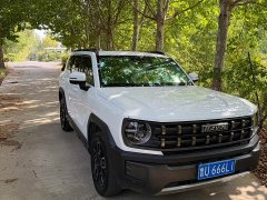 Haval Cool Dog 1.5T DCT AWD Trendy Wilderness Edition - ფოტო 3