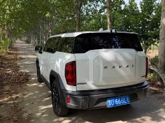 Haval Cool Dog 1.5T DCT AWD Trendy Wilderness Edition - ფოტო 4
