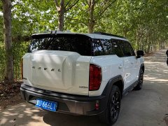 Haval Cool Dog 1.5T DCT AWD Trendy Wilderness Edition - ფოტო 6