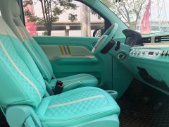 Wuling Hongguang MINIEV 2020 Joyful Edition Ternary Lithium - ფოტო 9