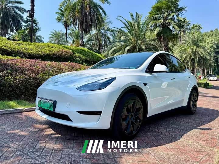 Tesla Model Y Rear-Wheel Drive - ავტომობილი ჩინეთიდან