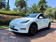 Tesla Model Y Rear-Wheel Drive - ფოტო 1