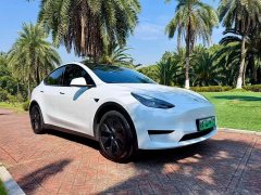 Tesla Model Y Rear-Wheel Drive - ფოტო 3