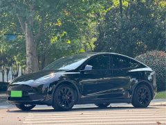 Tesla Model Y Rear-Wheel Drive - ფოტო 1
