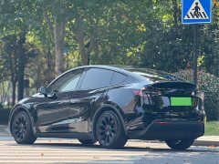 Tesla Model Y Rear-Wheel Drive - ფოტო 10