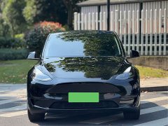 Tesla Model Y Rear-Wheel Drive - ფოტო 2