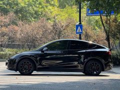 Tesla Model Y Rear-Wheel Drive - ფოტო 3