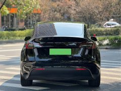 Tesla Model Y Rear-Wheel Drive - ფოტო 9