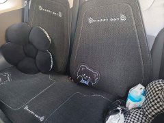 Changan Lumin 2022 155km Sweet Edition - ფოტო 13