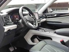 Volkswagen Teramont 2023 380TSI AWD Premium Luxury Edition - ფოტო 4