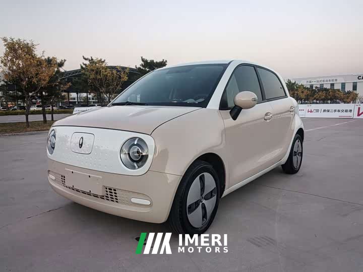 Ora 301km Version - ავტომობილი ჩინეთიდან