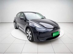 Tesla Model Y Rear-Wheel Drive - ფოტო 3