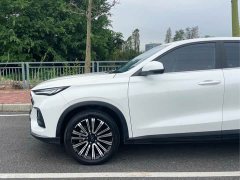Changan Oushan X5 Comfort Edition 1.5T DCT Premium - ფოტო 5