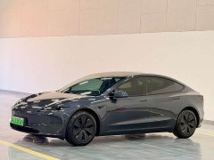 Tesla Model 3 Rear-Wheel Drive - ფოტო 1