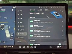 Xpeng P7 Long Range Max - ფოტო 20