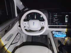Great Wall WEY Shanshan New Energy Four-Wheel Drive Shanshan 8 - ფოტო 11
