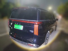 Great Wall WEY Shanshan New Energy Four-Wheel Drive Shanshan 8 - ფოტო 6