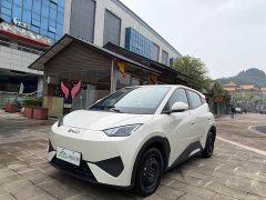 BYD Seagull Smart Drive 305km Vitality Edition - ფოტო 2