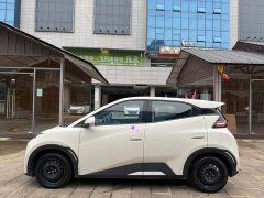 BYD Seagull Smart Drive 305km Vitality Edition - ფოტო 3