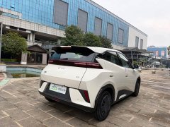 BYD Seagull Smart Drive 305km Vitality Edition - ფოტო 4