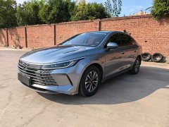 BYD Destroyer 05 Champion Edition DM-i 55KM Luxury - ფოტო 1