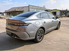 BYD Destroyer 05 Champion Edition DM-i 55KM Luxury - ფოტო 10