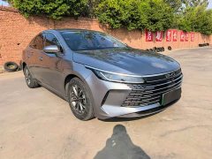 BYD Destroyer 05 Champion Edition DM-i 55KM Luxury - ფოტო 4