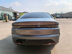 BYD Destroyer 05 Champion Edition DM-i 55KM Luxury - ფოტო 9