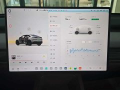Nio Lerado L60 60kWh Rear-Wheel Drive - ფოტო 12