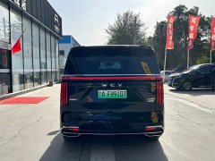 Great Wall WEY Shanshan New Energy Four-Wheel Drive Flagship Edition - ფოტო 6