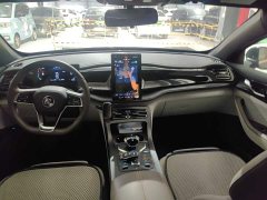 BYD Qin PLUS Champion Edition DM-i 55KM Leading - ფოტო 11