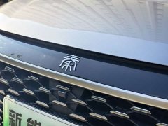 BYD Qin PLUS DM-i Smart Drive Edition 55KM Leading - ფოტო 14