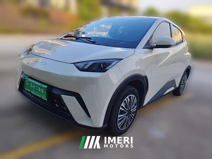 BYD Seagull Glory Edition 305km Vitality Version - ავტომობილი ჩინეთიდან