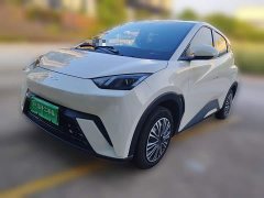 BYD Seagull Glory Edition 305km Vitality Version - ფოტო 1