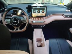 BYD Seagull Glory Edition 305km Vitality Version - ფოტო 10