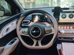 BYD Seagull Glory Edition 305km Vitality Version - ფოტო 11