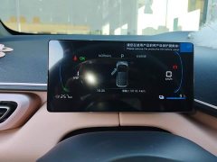 BYD Seagull Glory Edition 305km Vitality Version - ფოტო 12