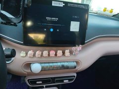 BYD Seagull Glory Edition 305km Vitality Version - ფოტო 14
