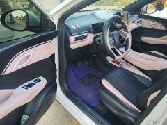 BYD Seagull Glory Edition 305km Vitality Version - ფოტო 17