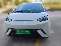BYD Seagull Glory Edition 305km Vitality Version - ფოტო 2