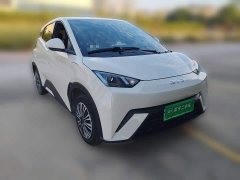BYD Seagull Glory Edition 305km Vitality Version - ფოტო 3