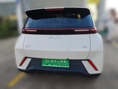 BYD Seagull Glory Edition 305km Vitality Version - ფოტო 5