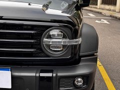 Tank 300 2023 Off-Road Edition 2.0T Conqueror - ფოტო 4