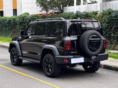 Tank 300 2023 Off-Road Edition 2.0T Conqueror - ფოტო 8