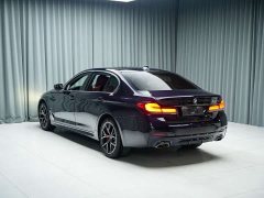BMW 5 Series 530Li Luxury M Sport Package - ფოტო 9
