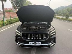 Geely Xingyue L 2.0T High-Power Automatic FWD Flagship - ფოტო 8