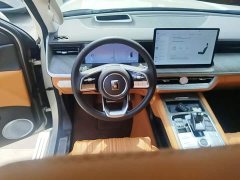 Tank 500 3.0T Business Edition Landscape Version 5-Seater - ფოტო 14