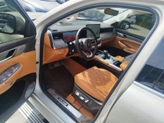 Tank 500 3.0T Business Edition Landscape Version 5-Seater - ფოტო 20